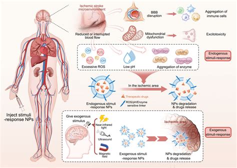 Elderly People Diseases: Comprehensive Guide to Managing Chronic Conditions