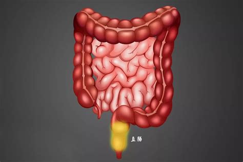 Understanding UTI Infections in Elderly: Causes, Symptoms, and Prevention