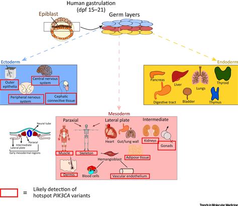 Common Diseases in Older Adults: Understanding and Managing Age-Related Health Conditions