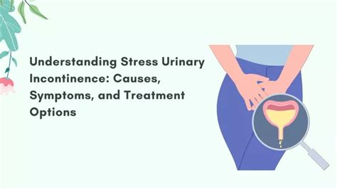 Understanding Urinary Tract Infections in the Elderly: Prevention, Symptoms, and Treatment