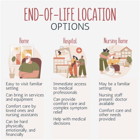 Comprehensive Analysis of Elderly Care Services: Ensuring Quality and Comfort in Aging in Place